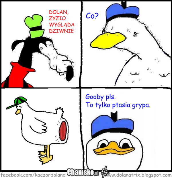 Zyzio dziwnie wygląda