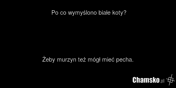 Po co wymyślono białe koty? Żeby murzyn też mógł mieć pecha.