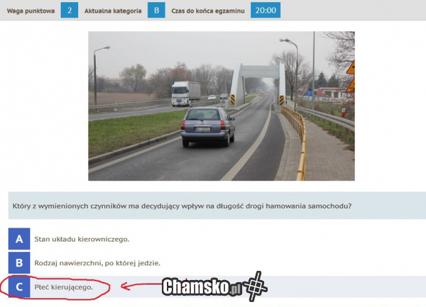 płeć