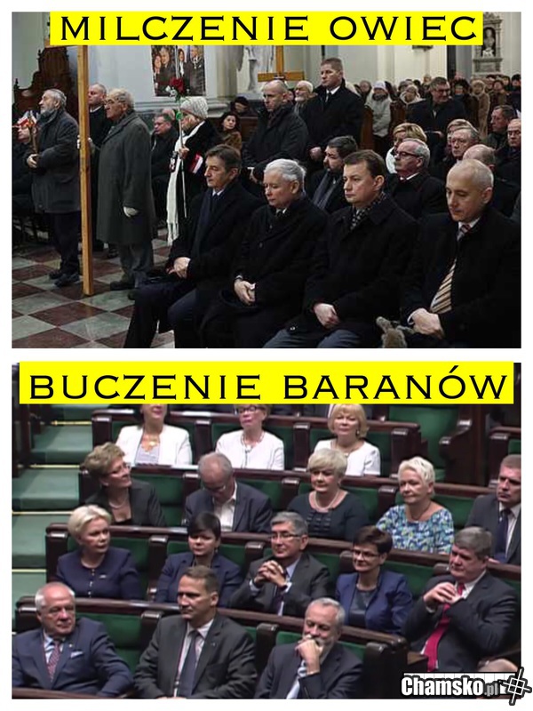 Ale PoPis