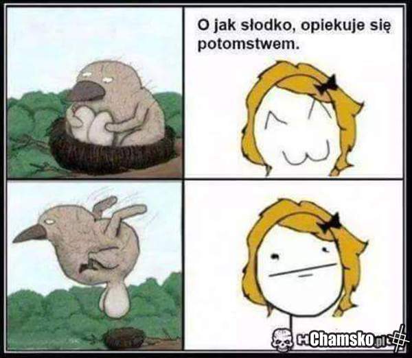 oj...jak słodko :D