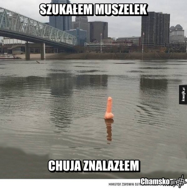 Muszelka
