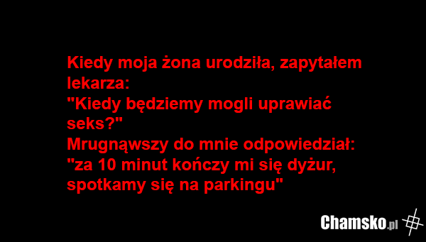 Doktorek