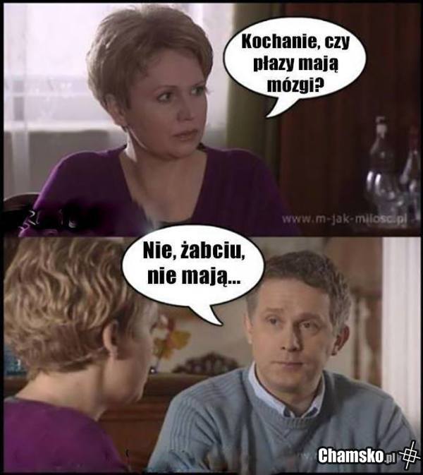 żabciu