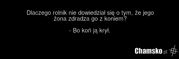 Dlaczego rolnik nie dowiedział się o tym, że jego żona zdradza go z koniem? - Bo koń ją krył.