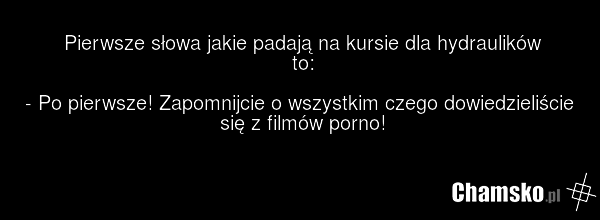 Pierwsze słowa jakie padają na kursie dla hydraulików to: - Po pierwsze! Zapomnijcie o wszystkim czego dowiedzieliście się z filmów porno!
