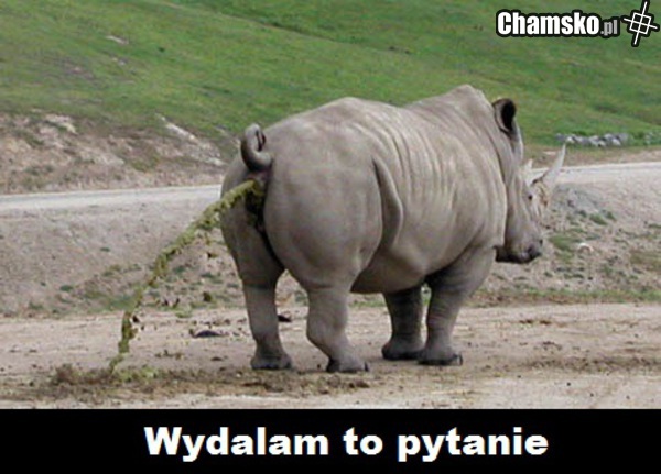 wydalam...