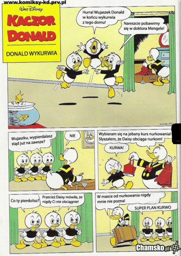 Plan Donalda