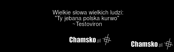Wielkie słowa wielkich ludzi: "Ty jebana polska kurwo" ~Testoviron