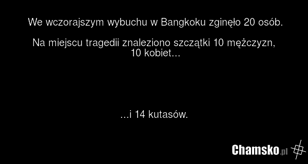 We wczorajszym wybuchu w Bangkoku zginęło 20 osób. Na miejscu tragedii znaleziono szczątki 10 mężczyzn, 10 kobiet... ...i 14 kutasów.