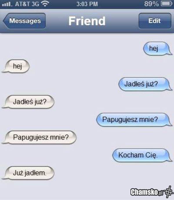 Papugujesz mnie?