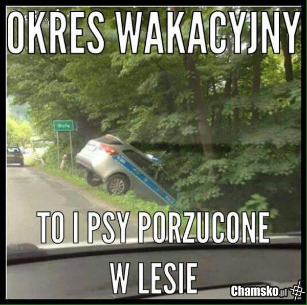 Sezon wakacyjny