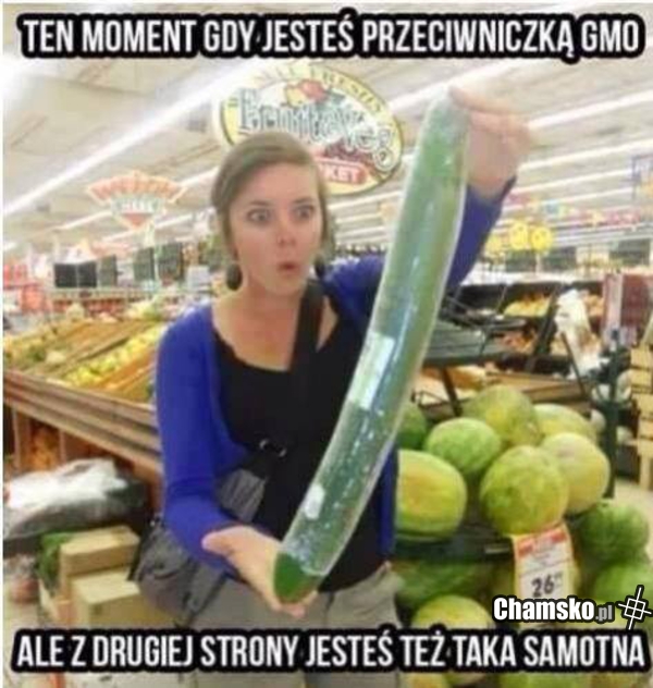 GMO
