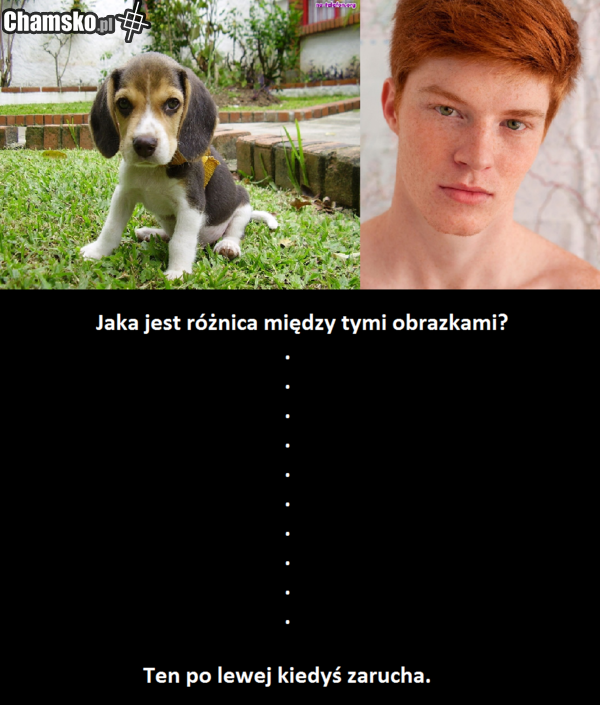 rudy to ma przejebane...