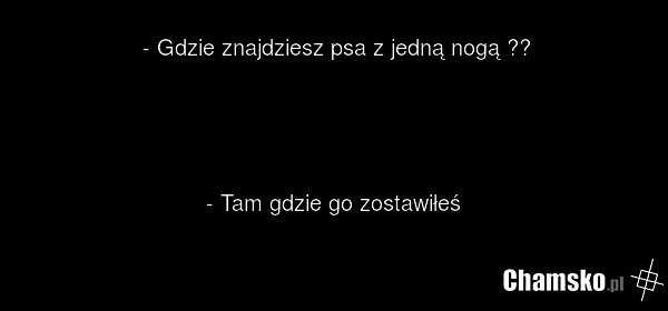 - Gdzie znajdziesz psa z jedną nogą ?? - Tam gdzie go zostawiłeś