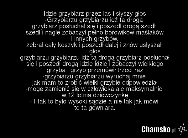 Idzie grzybiarz przez las i słyszy głos -Grzybiarzu grzybiarzu idź ta drogą grzybiarz posłuchał się i poszedł drogą szedł szedł i nagle zobaczył pełno borowików maślaków i innych grzybów. zebrał cały koszyk i poszedł dalej i znów usłyszał głos -grzybiarzu grzybiarzu idź tą drogą grzybiarz posłuchał…
