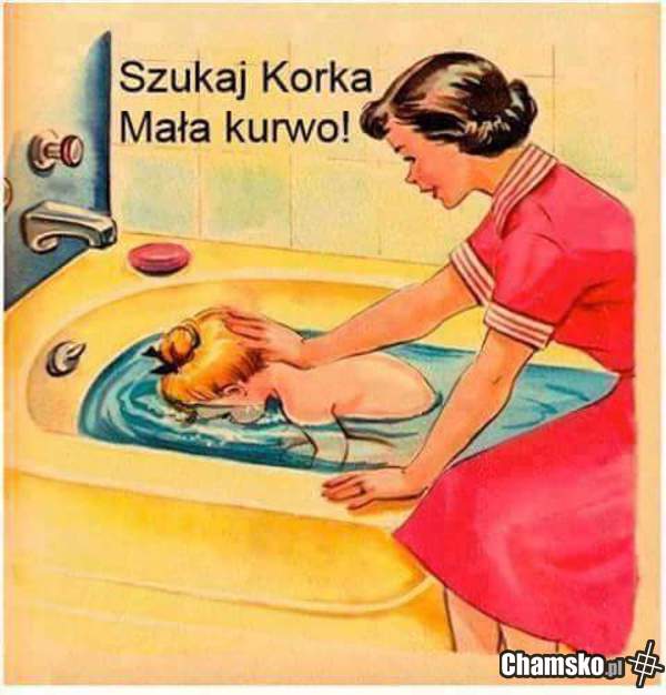 Szukaj korka