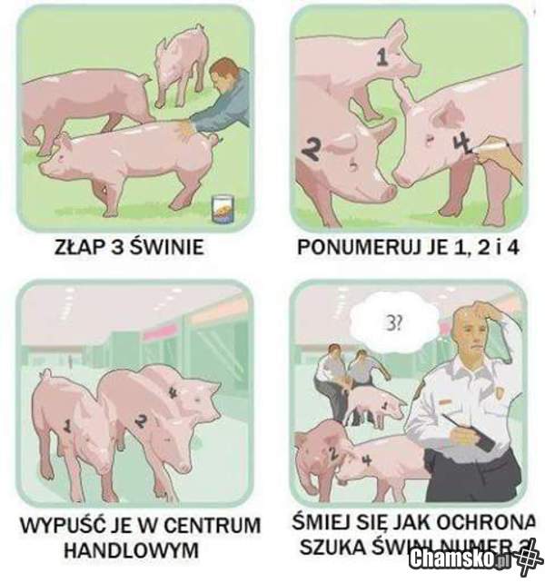 Poradnik Skurwiela