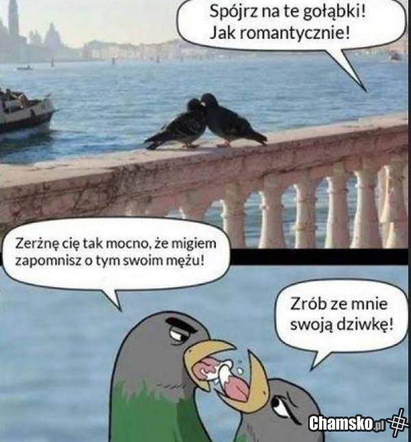 Romantyczne gołompy