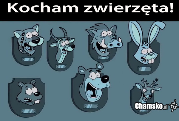 dla wszystkich miłośników zwierząt