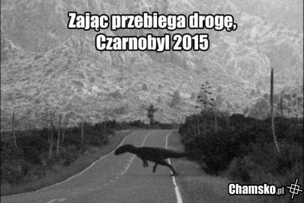 Uwaga na kruliki czarnobylskie XD