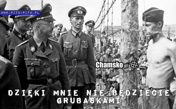 Ewka, prowadź