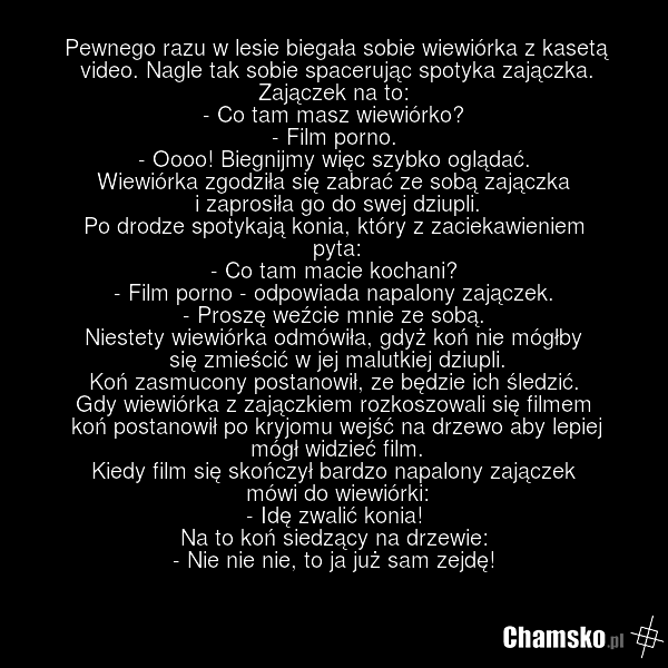 Pewnego razu w lesie biegała sobie wiewiórka z kasetą video. Nagle tak sobie spacerując spotyka zajączka. Zajączek na to: - Co tam masz wiewiórko? - Film porno. - Oooo! Biegnijmy więc szybko oglądać. Wiewiórka zgodziła się zabrać ze sobą zajączka i zaprosiła go do swej dziupli. Po drodze spotykają…