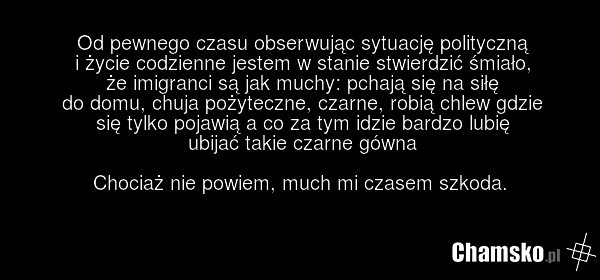 Od pewnego czasu obserwując sytuację polityczną i życie codzienne jestem w stanie stwierdzić śmiało, że imigranci są jak muchy: pchają się na siłę do domu, chuja pożyteczne, czarne, robią chlew gdzie się tylko pojawią a co za tym idzie bardzo lubię ubijać takie czarne gówna Chociaż nie powiem, much…