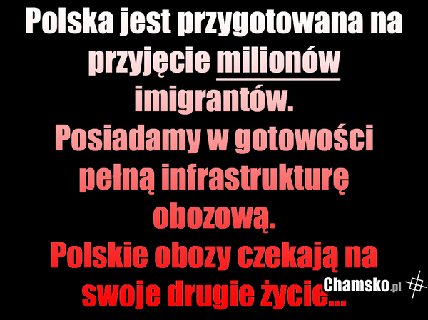 Serdecznie witamy imigrantów...
