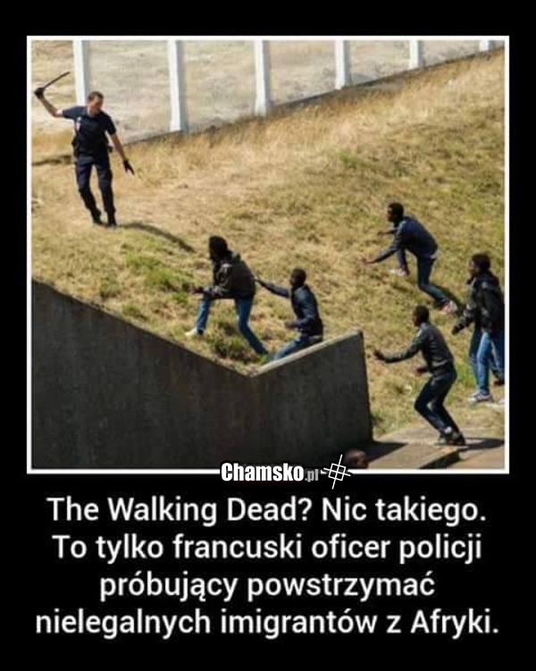 Walking dead