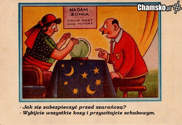sposób na szarańczę