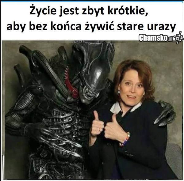 za krótkie