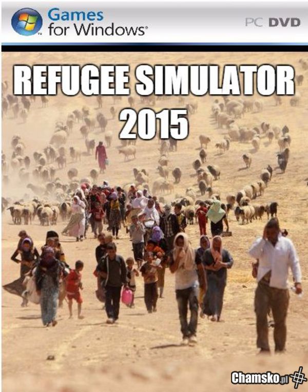 Symulator