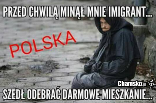 Bezdomny
