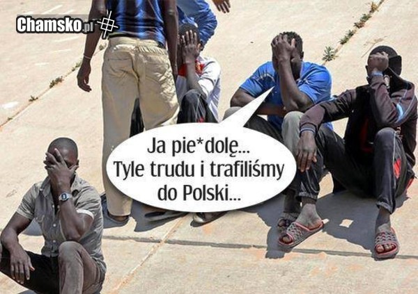 Rozczarowanie