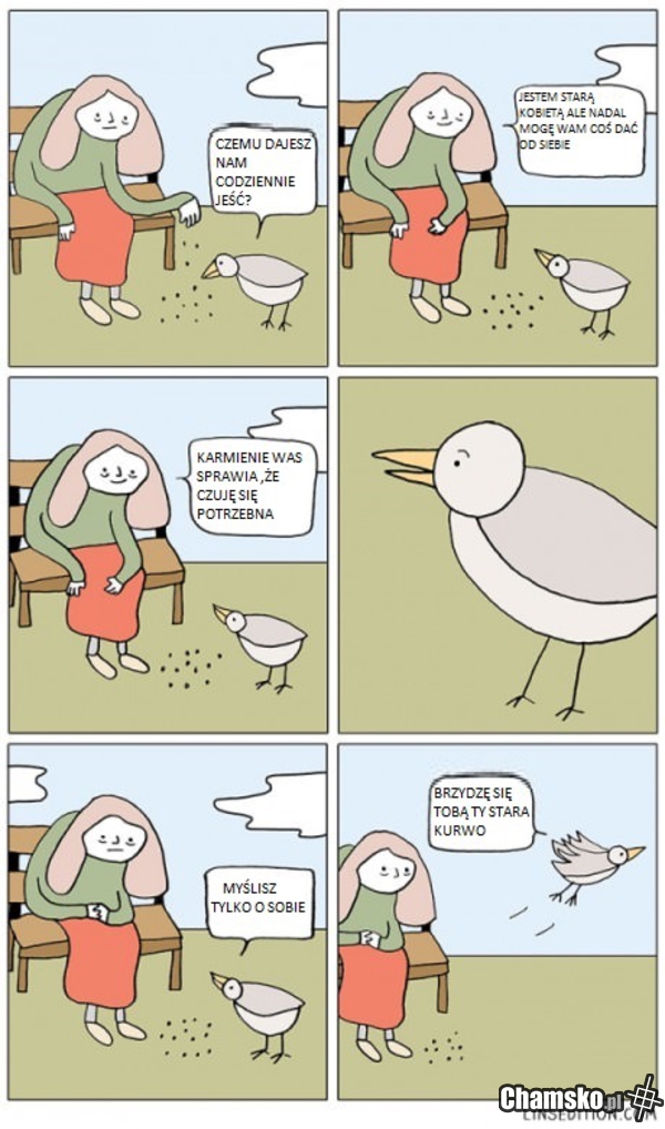 Karmienie ptaków