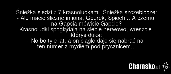 Śnieżka siedzi z 7 krasnoludkami. Śnieżka szczebiocze: - Ale macie śliczne imiona, Gburek, Śpioch... A czemu na Gapcia mówicie Gapcio? Krasnoludki spoglądają na siebie nerwowo, wreszcie któryś duka: - No bo tyle lat, a on ciągle daje się nabrać na ten numer z mydłem pod prysznicem...