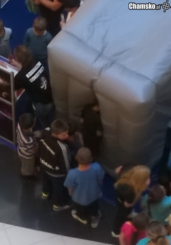 młody wie co dobre