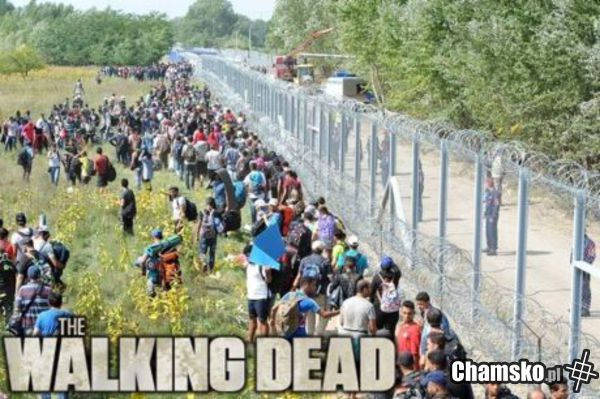 Walking Dead