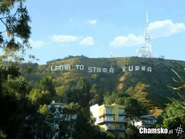Polski Hollywood