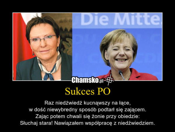 Współpraca
