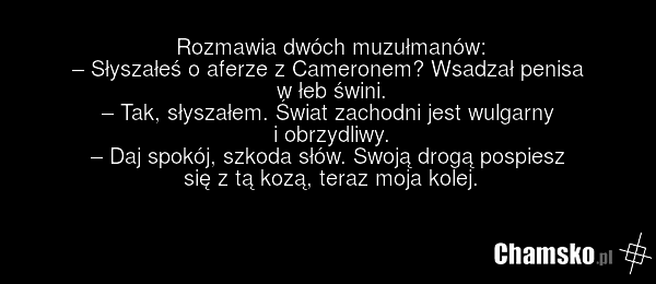 Rozmawia dwóch muzułmanów: – Słyszałeś o aferze z Cameronem? Wsadzał penisa w łeb świni. – Tak, słyszałem. Świat zachodni jest wulgarny i obrzydliwy. – Daj spokój, szkoda słów. Swoją drogą pospiesz się z tą kozą, teraz moja kolej.