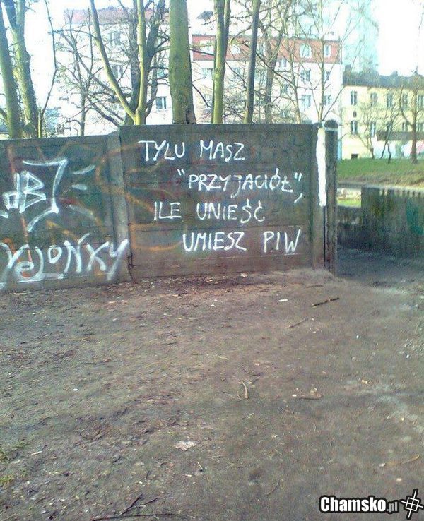 piwo