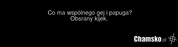 Co ma wspólnego gej i papuga? Obsrany kijek.