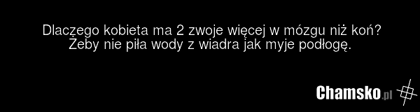 Dlaczego kobieta ma 2 zwoje więcej w mózgu niż koń? Żeby nie piła wody z wiadra jak myje podłogę.