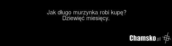 Jak długo murzynka robi kupę? Dziewięć miesięcy.