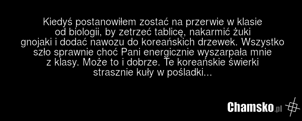 Kiedyś postanowiłem zostać na przerwie w klasie od biologii, by zetrzeć tablicę, nakarmić żuki gnojaki i dodać nawozu do koreańskich drzewek. Wszystko szło sprawnie choć Pani energicznie wyszarpała mnie z klasy. Może to i dobrze. Te koreańskie świerki strasznie kuły w pośladki...