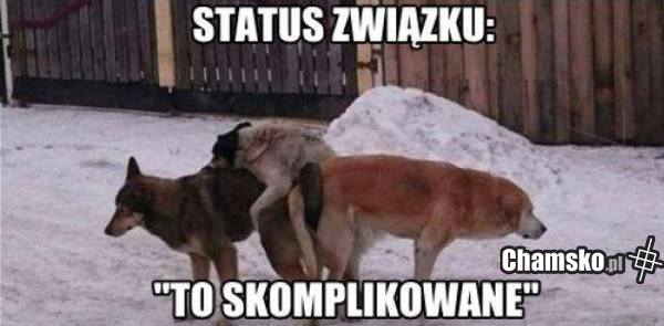 Status związku