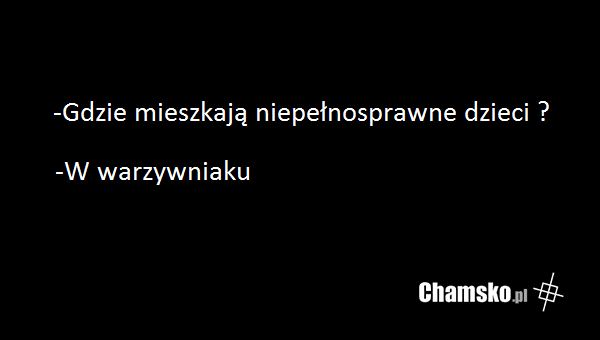 Warzywniak