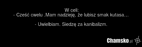 W celi: - Cześć cwelu .Mam nadzieję, że lubisz smak kutasa… - Uwielbiam. Siedzę za kanibalizm.